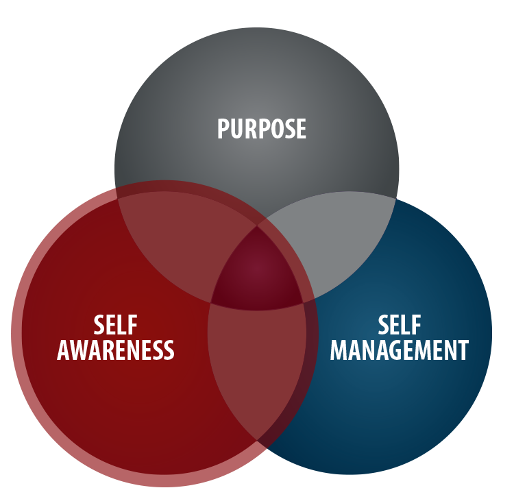 Self Awareness Venn Diagram